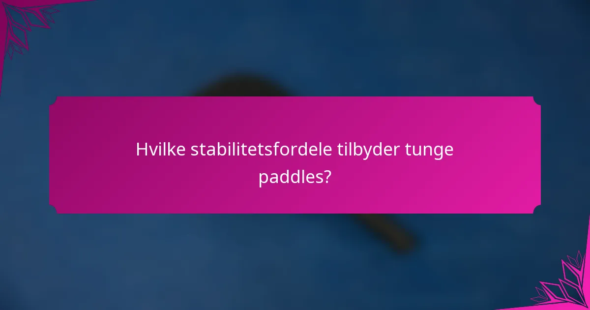 Hvilke stabilitetsfordele tilbyder tunge paddles?